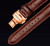 Годинник чоловічий Carnival Grand Brown наручний годинник Carnival #767