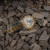 Годинник чоловічий Forsining Dubai наручний годинник Forsining #2090